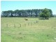 Cowper NSW 2460
