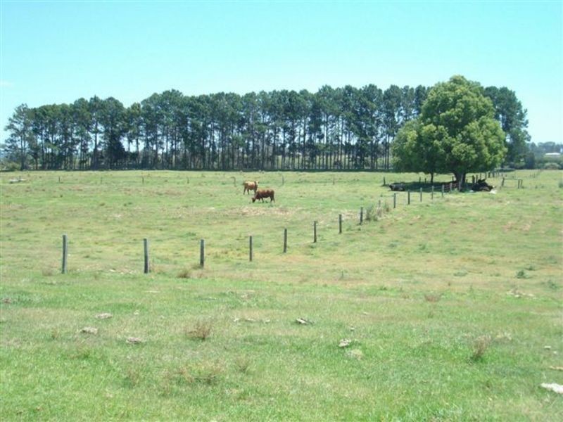 Cowper NSW 2460