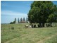 Cowper NSW 2460