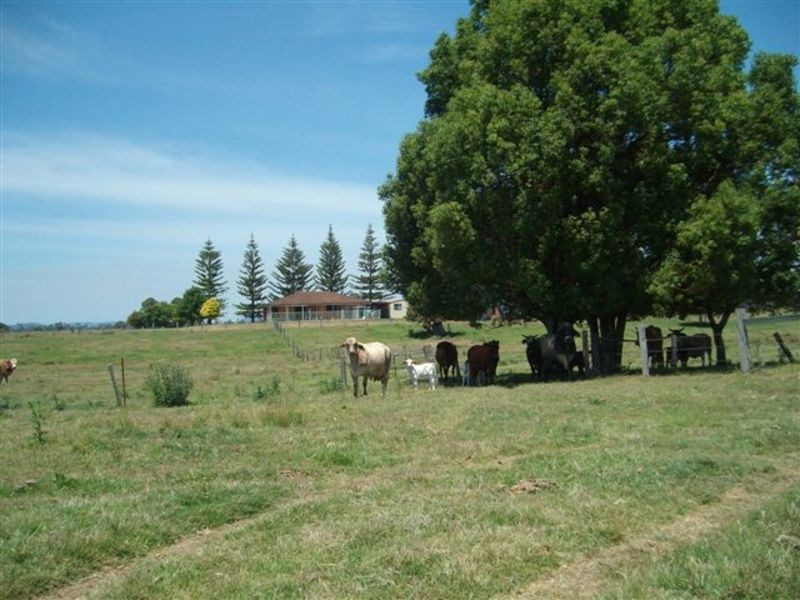 Cowper NSW 2460
