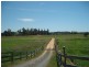 Cowper NSW 2460