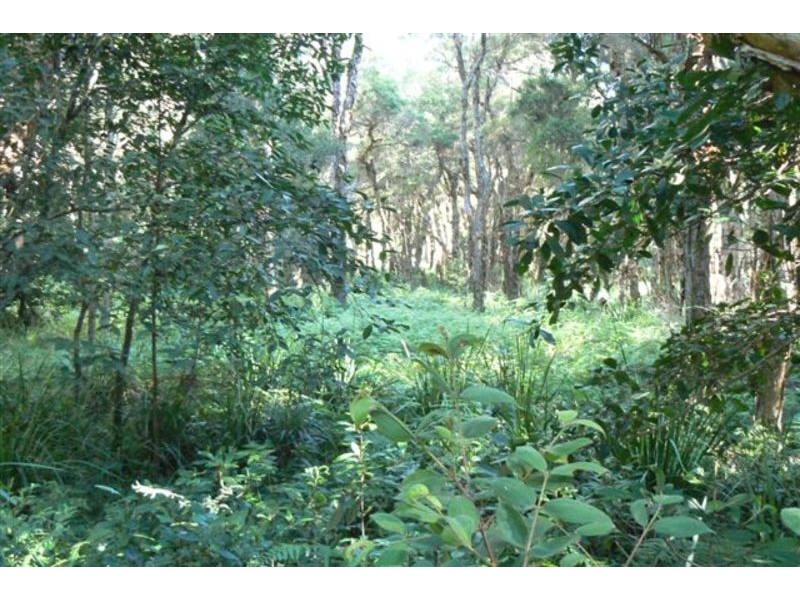 Tullymorgan NSW 2463