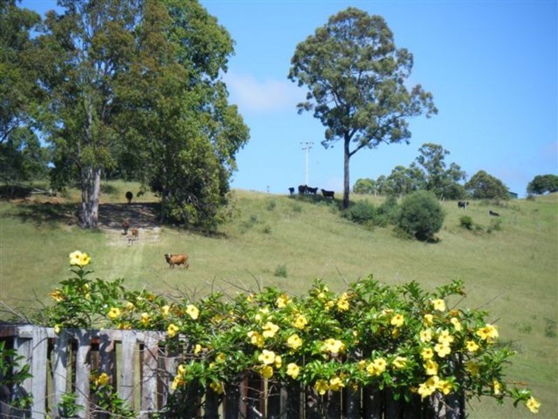 Tullymorgan NSW 2463