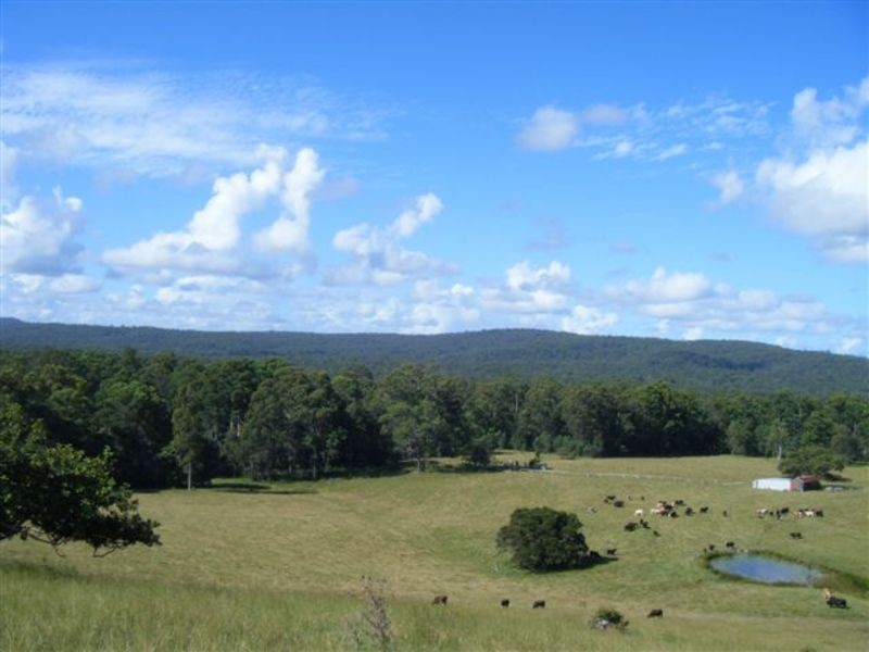 Tullymorgan NSW 2463