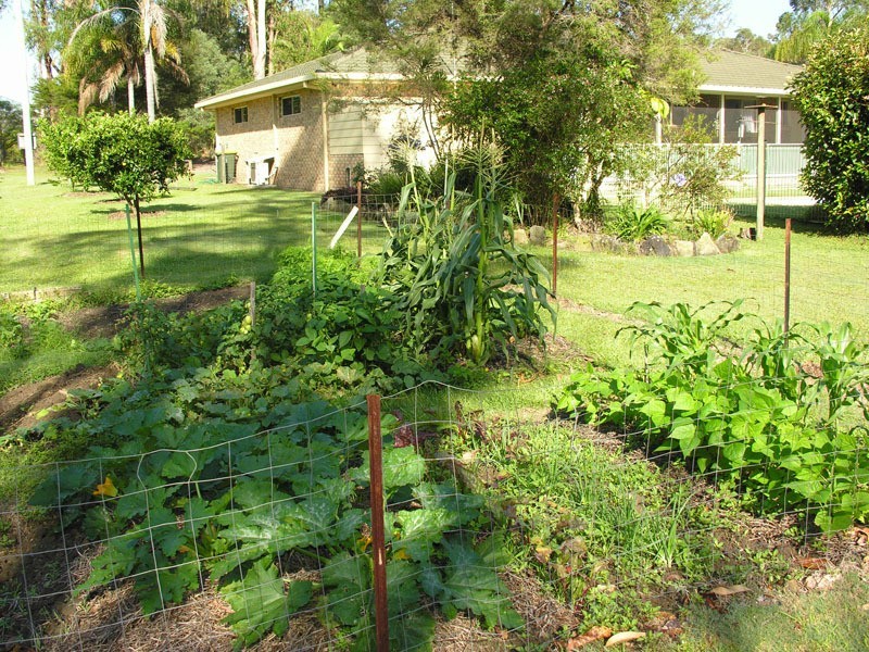 Gulmarrad NSW 2463