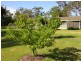 Gulmarrad NSW 2463