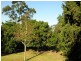 Lawrence NSW 2460