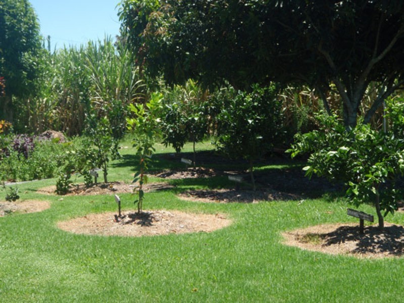 Chatsworth NSW 2469
