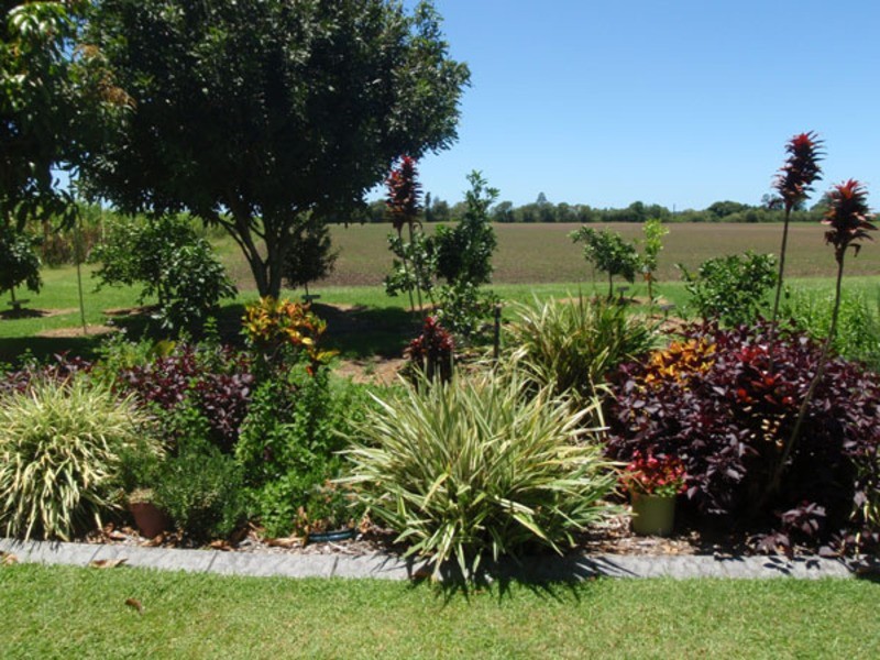 Chatsworth NSW 2469