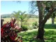Chatsworth NSW 2469