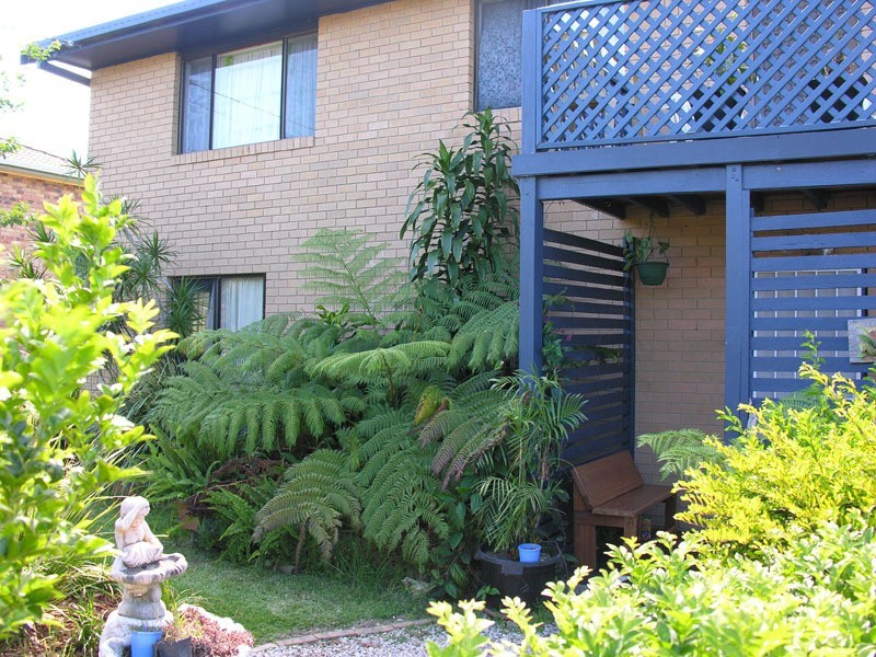 49 McLachlan Street, Maclean NSW 2463