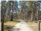 Jacky Bulbin Flat NSW 2463