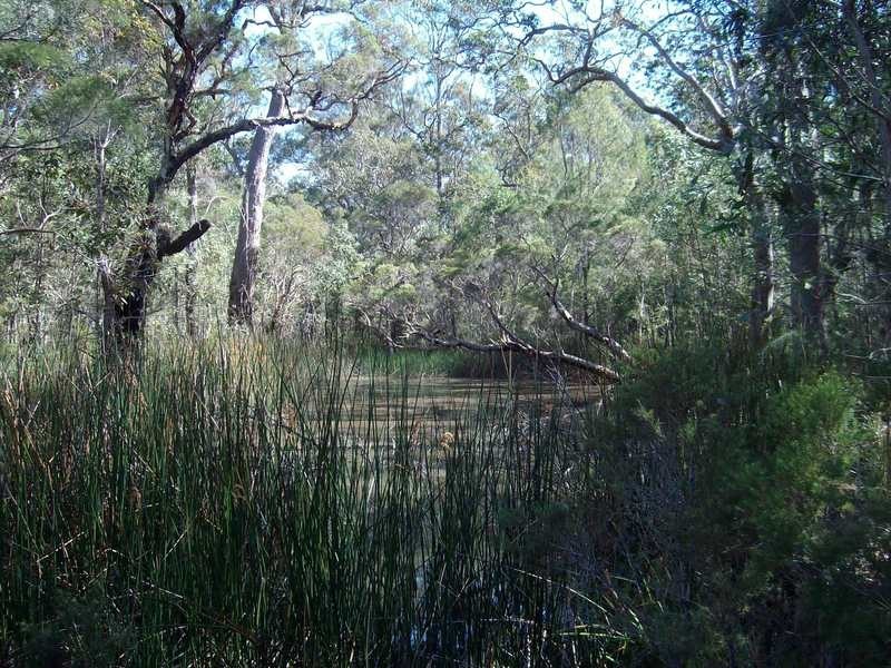 Jacky Bulbin Flat NSW 2463