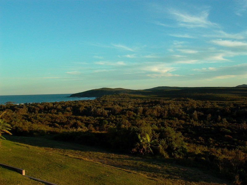 Angourie NSW 2464