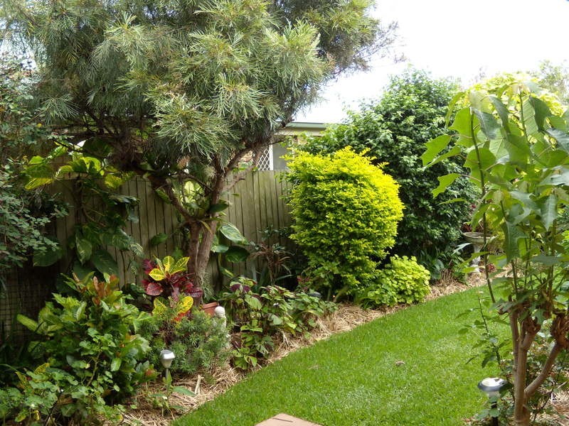 6 Blue Water Court, Yamba NSW 2464