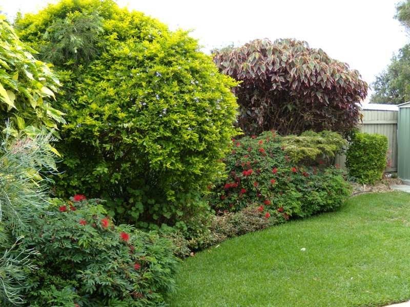 6 Blue Water Court, Yamba NSW 2464