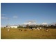 Lawrence NSW 2460