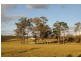 Lawrence NSW 2460