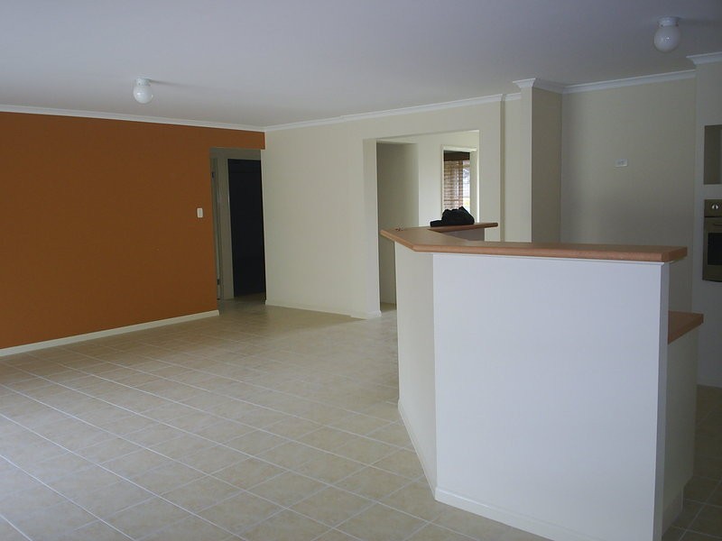 17 Potaroo Place, Townsend NSW 2463