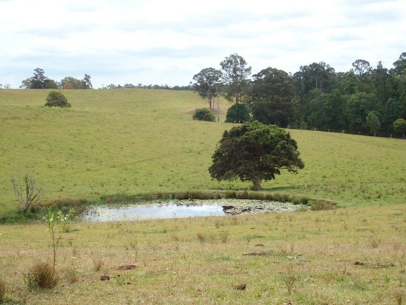 Tullymorgan NSW 2463