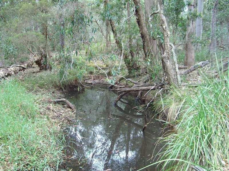 Tullymorgan NSW 2463