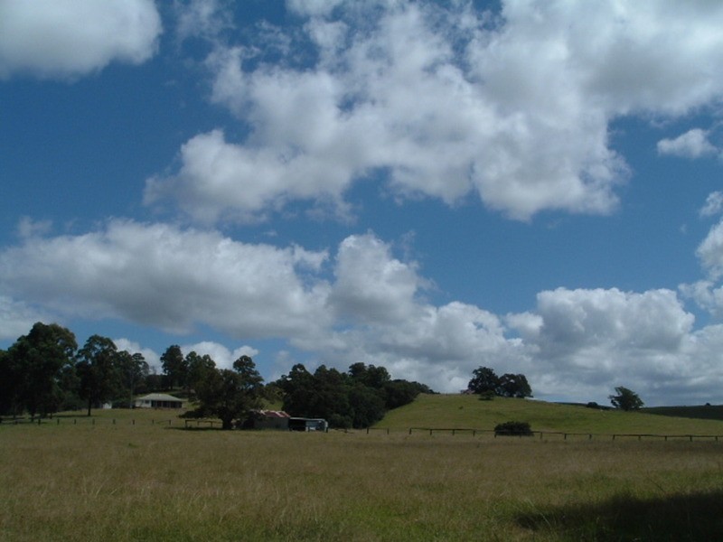 Tullymorgan NSW 2463