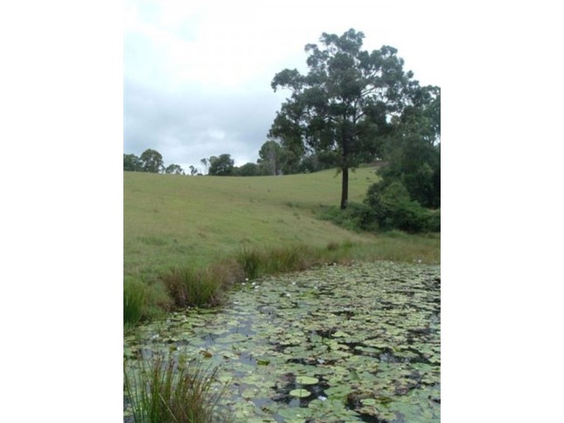 Tullymorgan NSW 2463