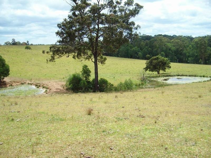 Tullymorgan NSW 2463