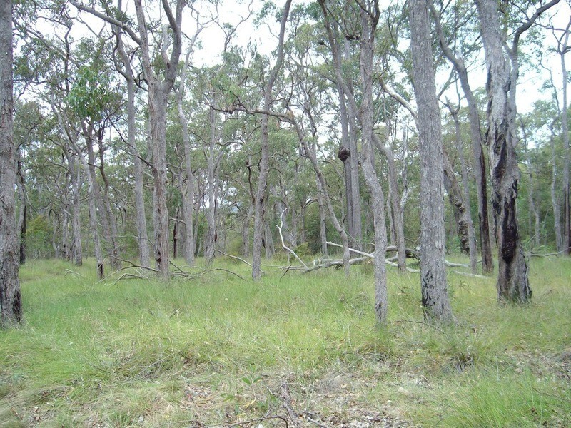 Tullymorgan NSW 2463