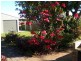 2 Roseland Avenue, Yamba NSW 2464