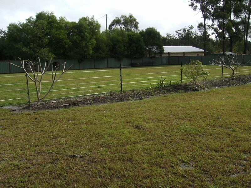Woombah NSW 2469