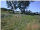 Lot 3323 Kerry Street, Maclean NSW 2463
