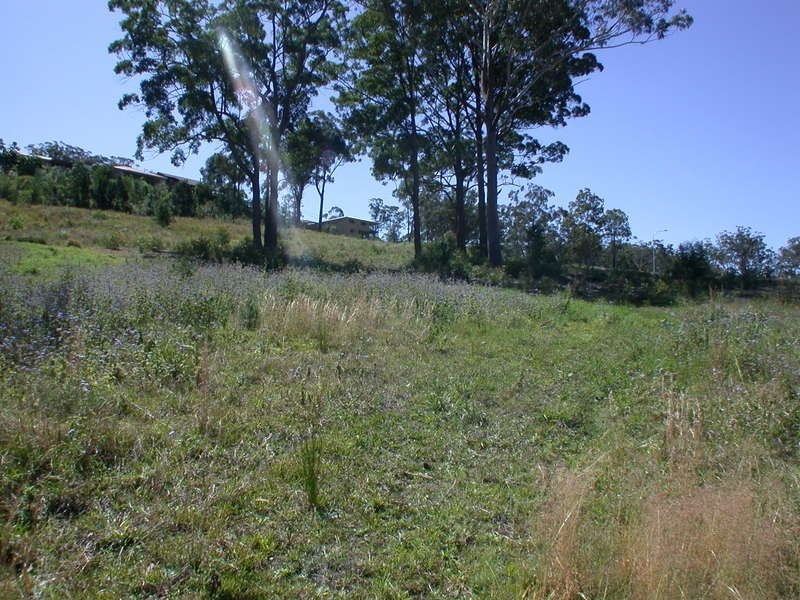 Lot 3323 Kerry Street, Maclean NSW 2463