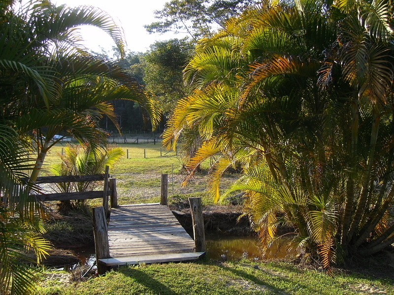 Ashby NSW 2463