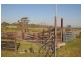 76 Mangrove Creek Road, Tullymorgan NSW 2463