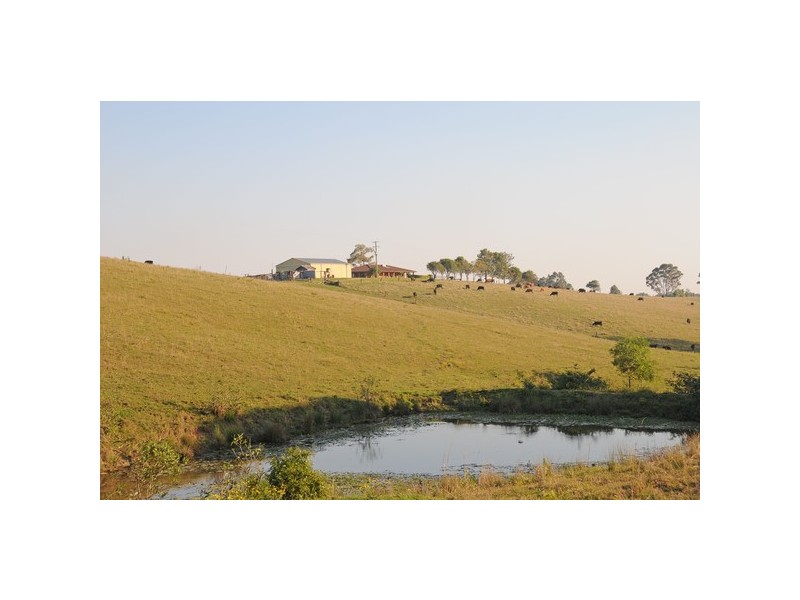 76 Mangrove Creek Road, Tullymorgan NSW 2463