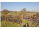 76 Mangrove Creek Road, Tullymorgan NSW 2463