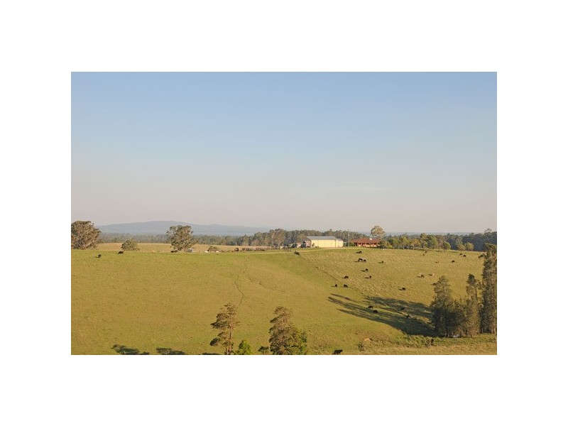 76 Mangrove Creek Road, Tullymorgan NSW 2463