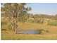 76 Mangrove Creek Road, Tullymorgan NSW 2463