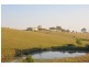 76 Mangrove Creek Road, Tullymorgan NSW 2463