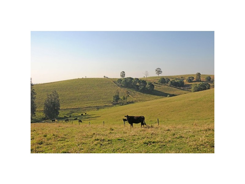 76 Mangrove Creek Road, Tullymorgan NSW 2463