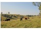 76 Mangrove Creek Road, Tullymorgan NSW 2463