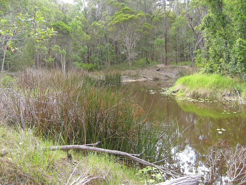 Lot 10 Tanglewood Road, Lawrence NSW 2460