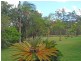 241 Sheehans Lane, Gulmarrad NSW 2463