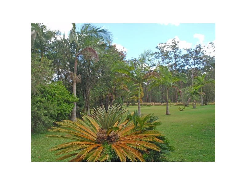 241 Sheehans Lane, Gulmarrad NSW 2463