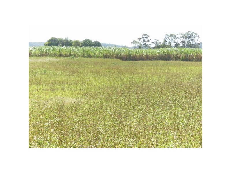 Lot 197 Martins Point Road, Harwood NSW 2465