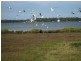 Yamba NSW 2464