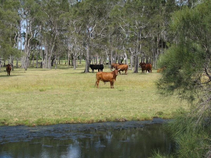 Yamba NSW 2464
