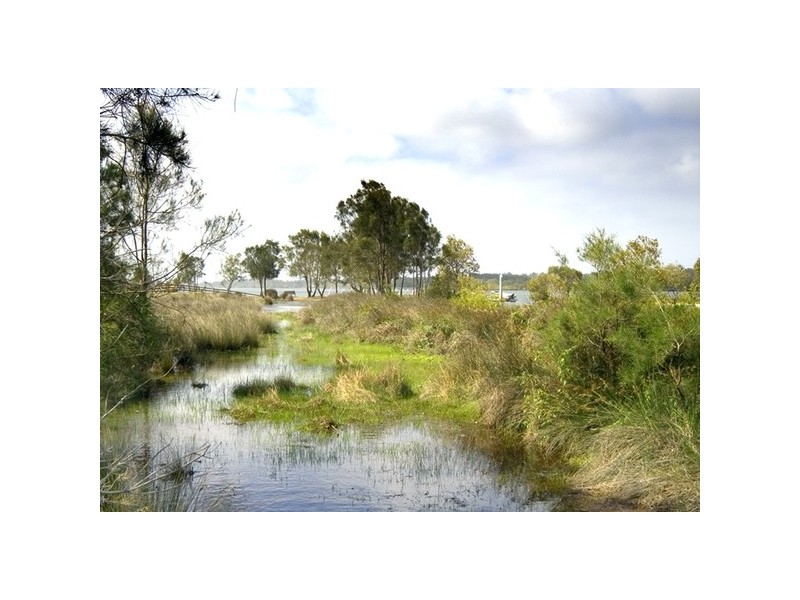 251 Micalo Road, Micalo Island NSW 2464