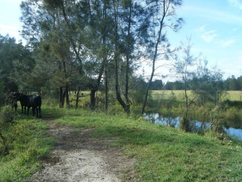 Micalo Island NSW 2464